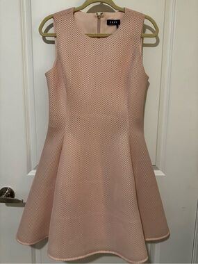 DKNY Blush Pink Sleeveless A-Line Mesh Dress